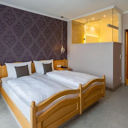 Krone Am Park - Gaestehaus Des Krone 3* آلتسناو اين اونترفرانكن