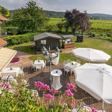 Krone Am Park - Gaestehaus Des Krone Alzenau