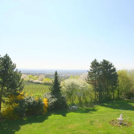 Ξενοδοχείο Krone Am Park - Gaestehaus Des Krone Alzenau in Unterfranken