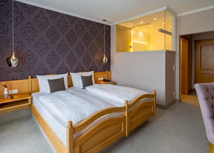 Krone Am Park - Gaestehaus Des Krone 3* Alzenau in Unterfranken
