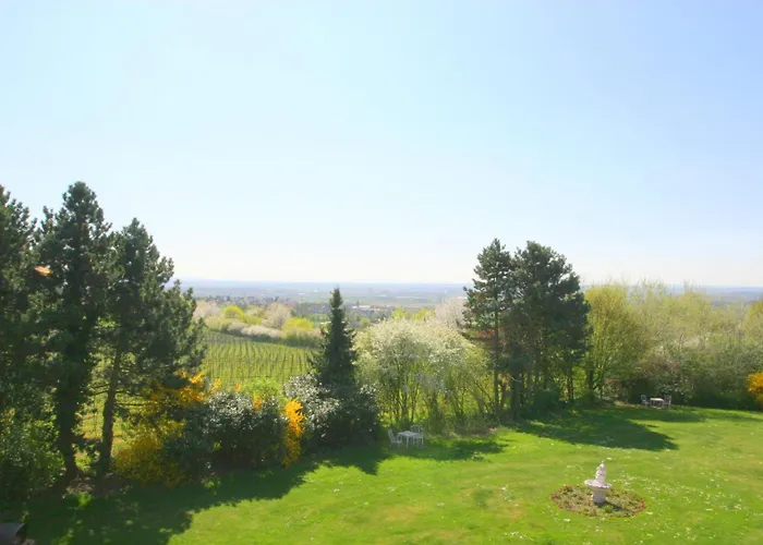 Hotell Krone Am Park - Gaestehaus Des Krone Alzenau in Unterfranken