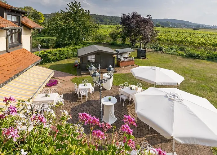 Krone Am Park - Gaestehaus Des Krone Alzenau in Unterfranken